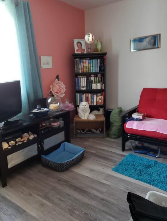 À LOUER – Magnifique 4 ½ très éclairé | 1 500 $/mois | 3296588