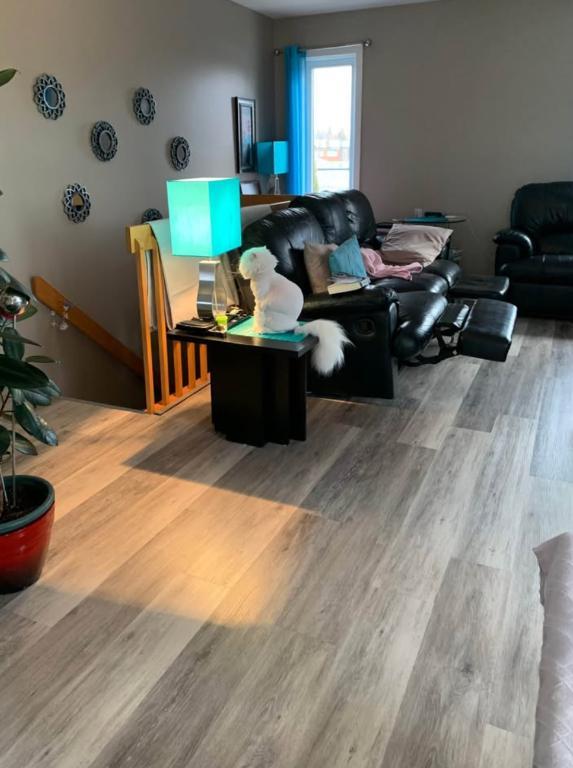 À LOUER – Magnifique 4 ½ très éclairé | 1 500 $/mois | 3296588