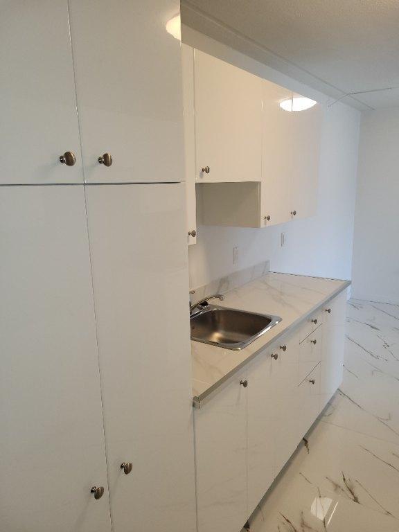 Très Bel Appartement 4 1/2 à Louer - Boulevard Des Sources - DDO - Aussi Studio, 3 1/2 | 3296601