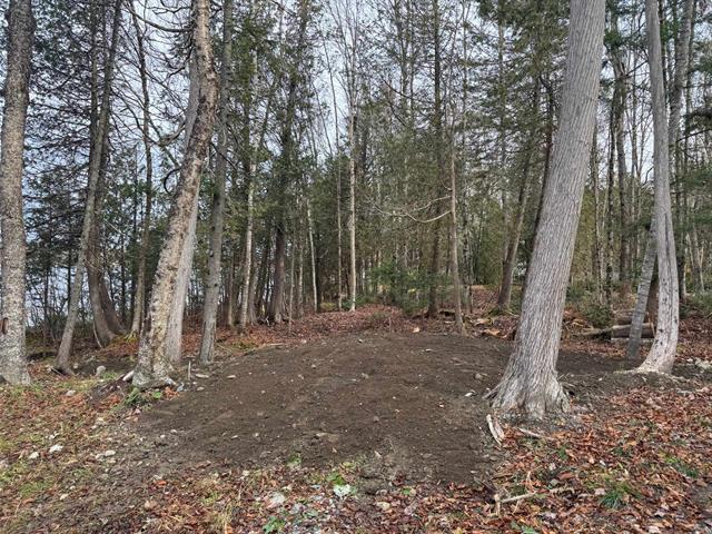 Petit Lac Lambton, Estrie. Terrain aménagé de 16 943 pi.ca. directement au bord de l’eau. Beau rivage, baignable et navigable. Une rareté! | 3297617