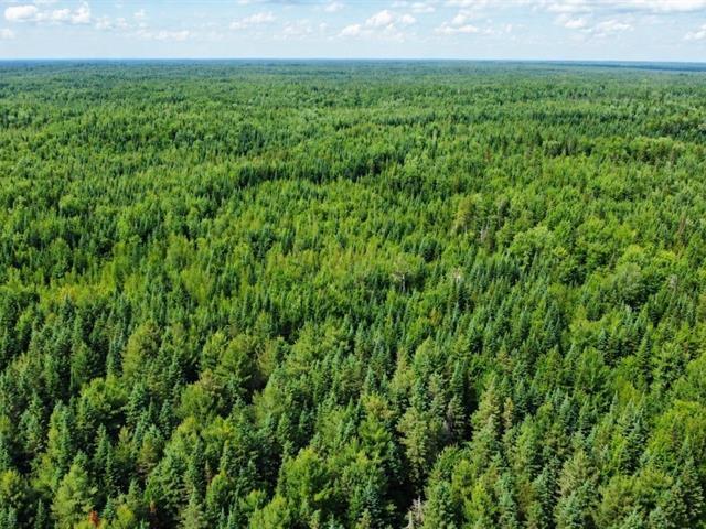 Lemieux (Centre-du-Québec) : Terre à bois de 178 acres, territoire de chasse chevreuil et orignal, potentiel forestier | 3297236