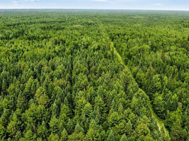 Lemieux (Centre-du-Québec) : Terre à bois de 178 acres, territoire de chasse chevreuil et orignal, potentiel forestier | 3297236