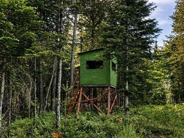 Lemieux (Centre-du-Québec) : Terre à bois de 178 acres, territoire de chasse chevreuil et orignal, potentiel forestier | 3297236