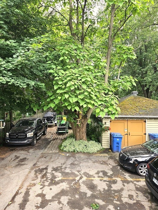 5 1/2 (vrai) Vieux-Longueuil | 3283143