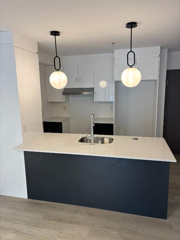 Magnifique 3 1/2 presque neuf à Lévis (Roc-Pointe, St-Nicolas), au 1er étage, Climatisé., LIBRE LE 1ier juillet 2026 | 3297381