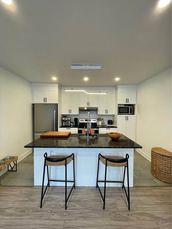 GRAND LOGEMENT LUMINEUX AVEC TERRASSE PRIVÉE À LOUER | 3297440
