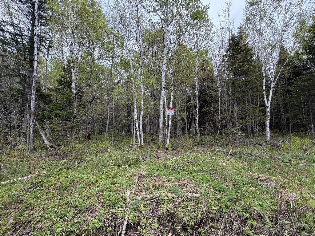 Plusieurs terrains dont certains avec droit de construire... Dans différentes régions du Québec... | 3297447