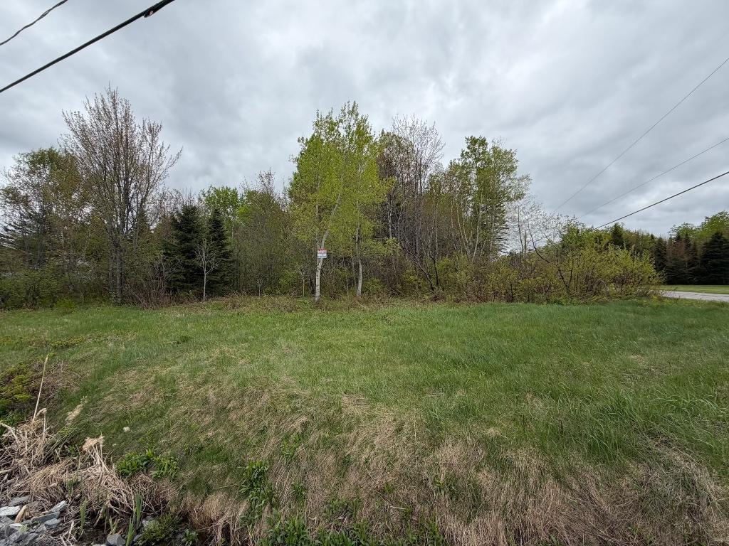 Plusieurs terrains boisées à vendre à la campagne pour la plupart... | 3297480
