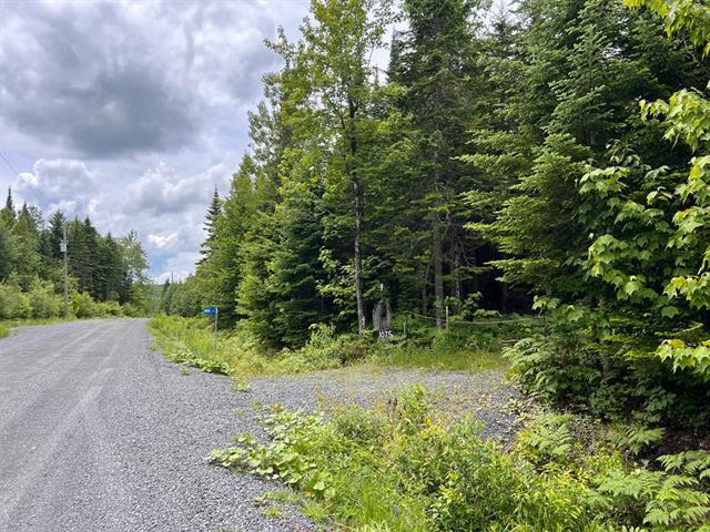 Lac de la Héronnière, Stratford en Estrie. Beau terrain boisé avec ACCÈS notarié au lac à +-400m. Superficie de 45 747 pi.ca. Secteur très paisible! | 3297611
