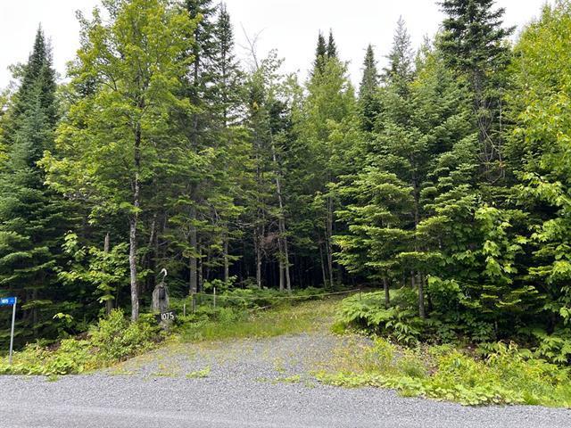 Lac de la Héronnière, Stratford en Estrie. Beau terrain boisé avec ACCÈS notarié au lac à +-400m. Superficie de 45 747 pi.ca. Secteur très paisible! | 3297611