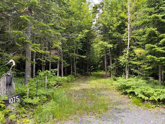 Lac de la Héronnière, Stratford en Estrie. Beau terrain boisé avec ACCÈS notarié au lac à +-400m. Superficie de 45 747 pi.ca. Secteur très paisible! | 3297611