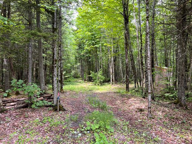 Lac de la Héronnière, Stratford en Estrie. Beau terrain boisé avec ACCÈS notarié au lac à +-400m. Superficie de 45 747 pi.ca. Secteur très paisible! | 3297611
