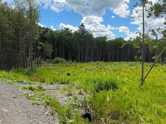 Grand Lac St-François, Lambton, Estrie. Beau grand terrain boisé de 260,7 pi X 291,9 pi. irr. superficie de 75 855 pi.ca. ACCÈS notarié au lac avec dr | 3297612