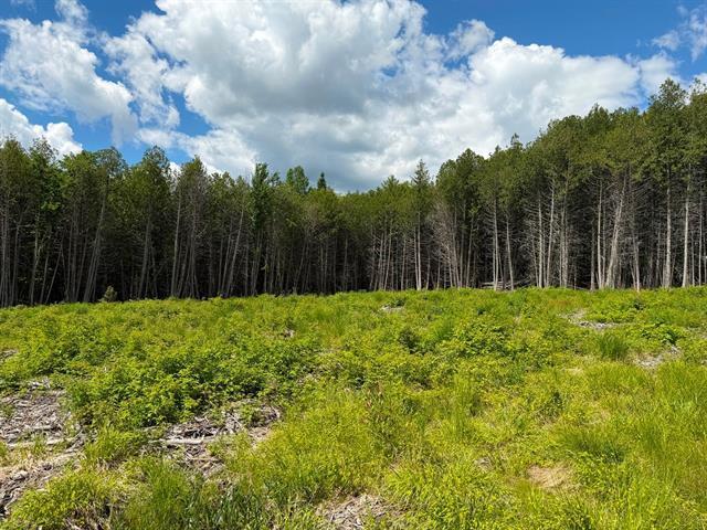 Grand Lac St-François, Lambton, Estrie. Beau grand terrain boisé de 260,7 pi X 291,9 pi. irr. superficie de 75 855 pi.ca. ACCÈS notarié au lac avec dr | 3297612