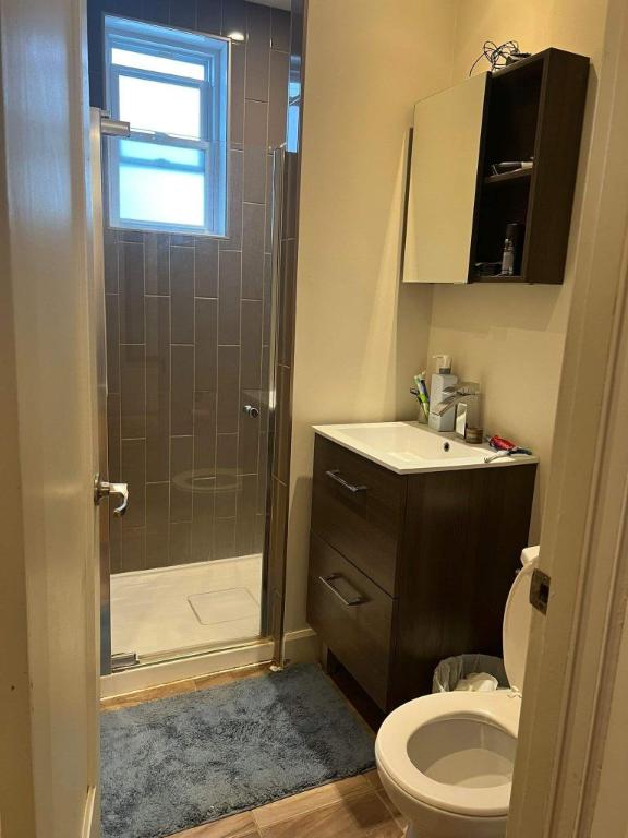 Studio - Montréal - $900 /mo | 3297519