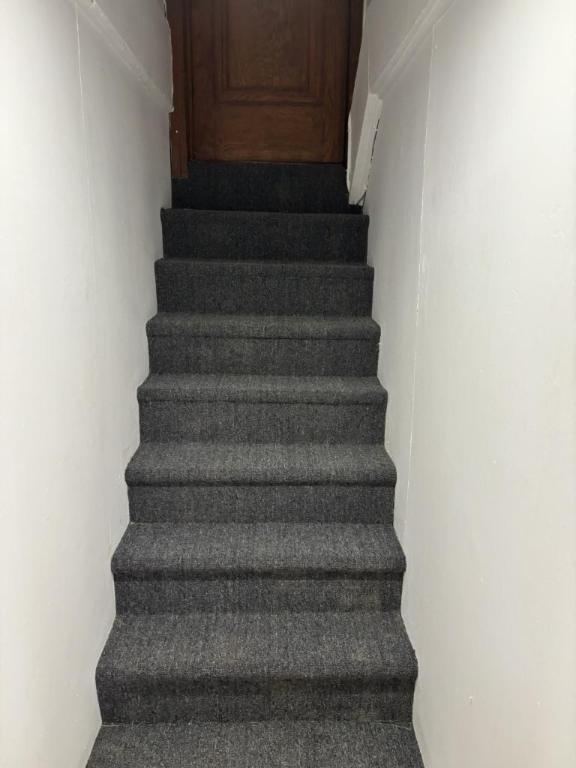 2 1/2 - Montréal (Le Plateau Mont-Royal) - 1 200 $/mois | 3297528