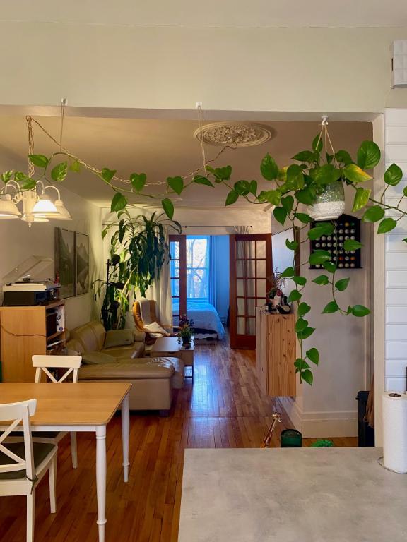 3 ½ - rénové à Villeray près du métro Crémazie et Jarry | 3297558