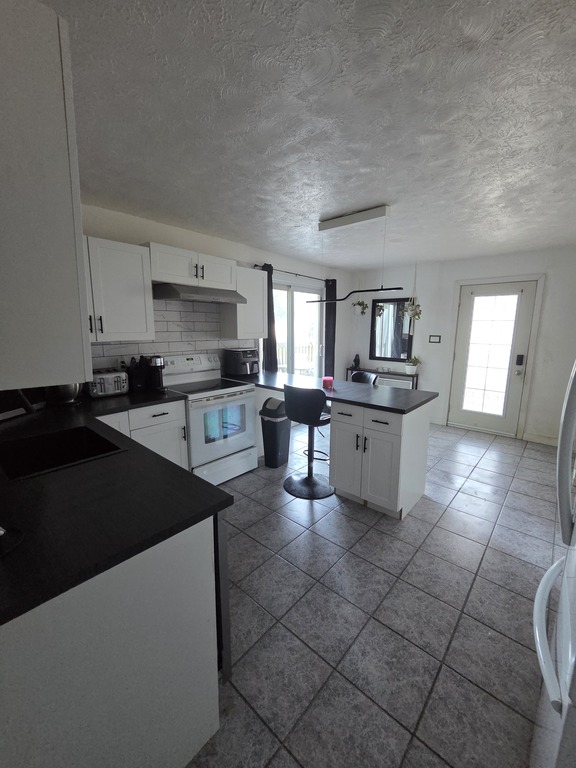 7 1/2 GRAND À LOUER, ANIMAUX ACCEPTÉS | 3297802