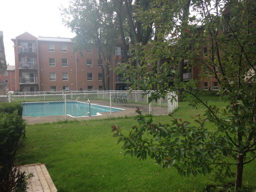 1 1/2, 3e étage, ascenseur piscine quiétude, vue cour arrière | 3308418