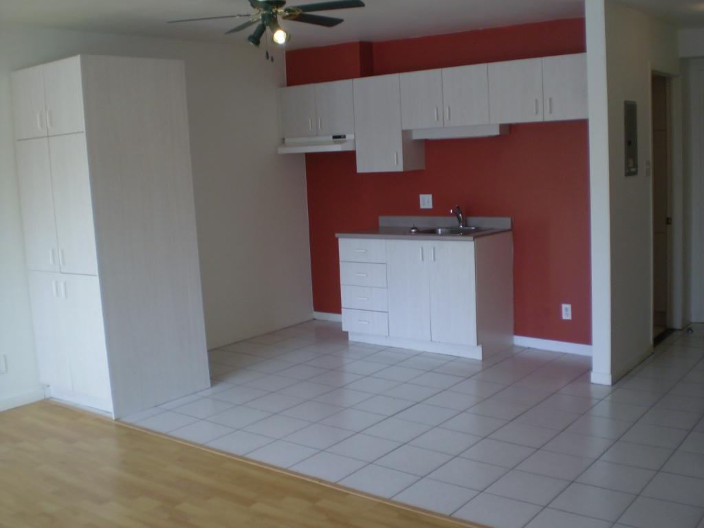 1 1/2, 3e étage, ascenseur piscine quiétude, vue cour arrière | 3308418