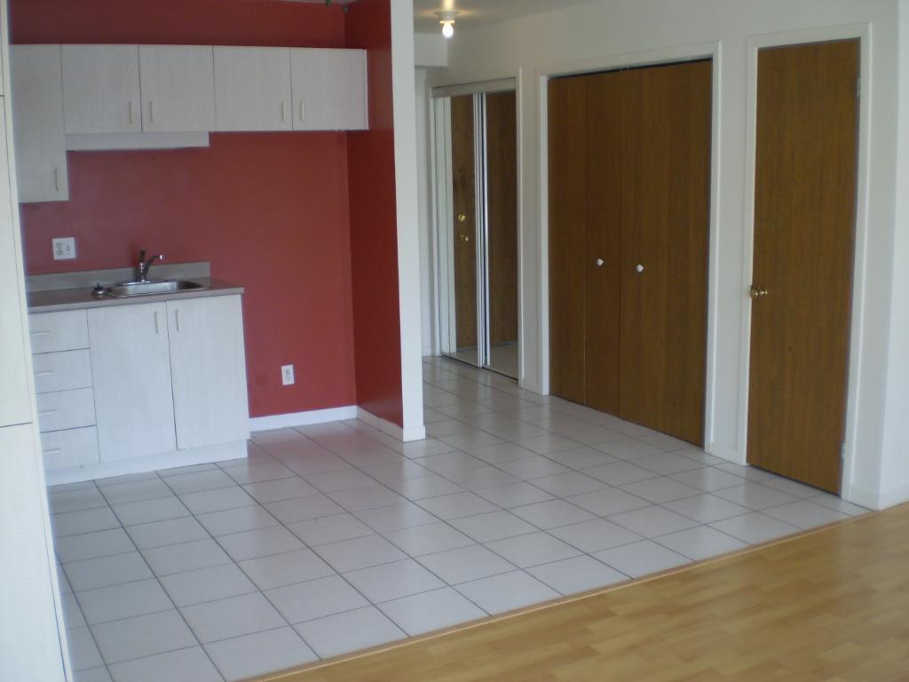 1 1/2, 3e étage, ascenseur piscine quiétude, vue cour arrière | 3308418