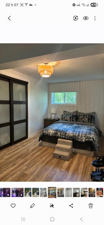 Appartement 3 1/2 à louer | 3297841