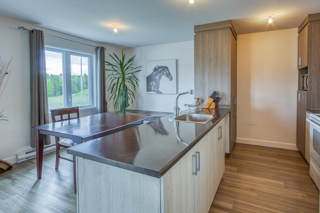 Logement 4 1/2 a louer a St-Pierre Baptiste | 3298330