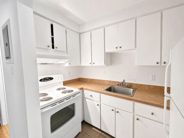 Studio - Montréal - $1,250 /mo | 3298362