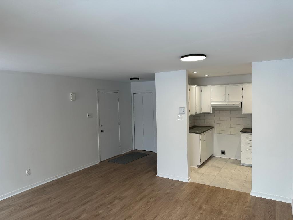 41/2 à louer regard sur le parc Louis-Riel quartier Mercier Hochelaga Maisonneuve | 3298366