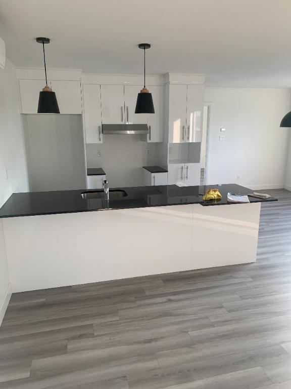 Magnifique 4 1/2 presque neuf à Lévis (Roc-Pointe, St-Nicolas), au 2ieme étage, Climatisé, thermo-pompe. 2 STATIONNEMENTS inclus | 3298374