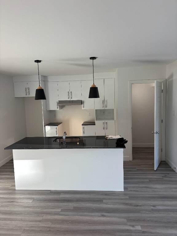 Magnifique 4 1/2 presque neuf à Lévis (Roc-Pointe, St-Nicolas), au 2ieme étage, Climatisé, thermo-pompe. 2 STATIONNEMENTS inclus | 3298374