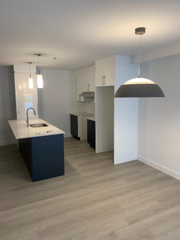 Magnifique 4 1/2 presque neuf à Lévis (Roc-Pointe, St-Nicolas), au 1er étage, Climatisé, Internet inclus | 3298390