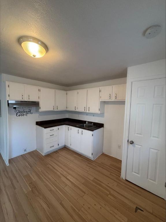 2 CH - 1 SDB - Sainte-Hélène-de-Bagot - $945 /mo | 3298722