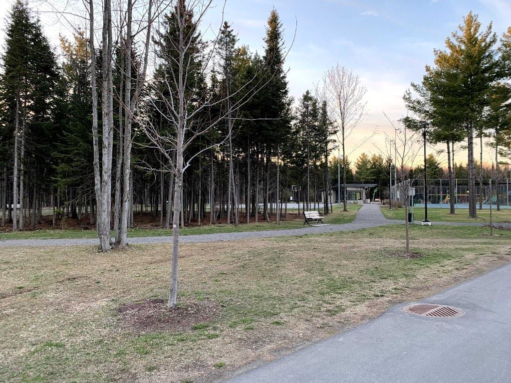 Grand logement 5 1/2 au 24 rue Arsène | 3298773