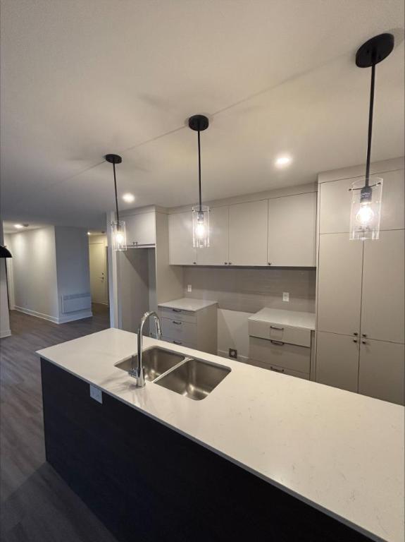 2 CH - 1 SDB - Saint-Hyacinthe - $1,400 /mo | 3298797