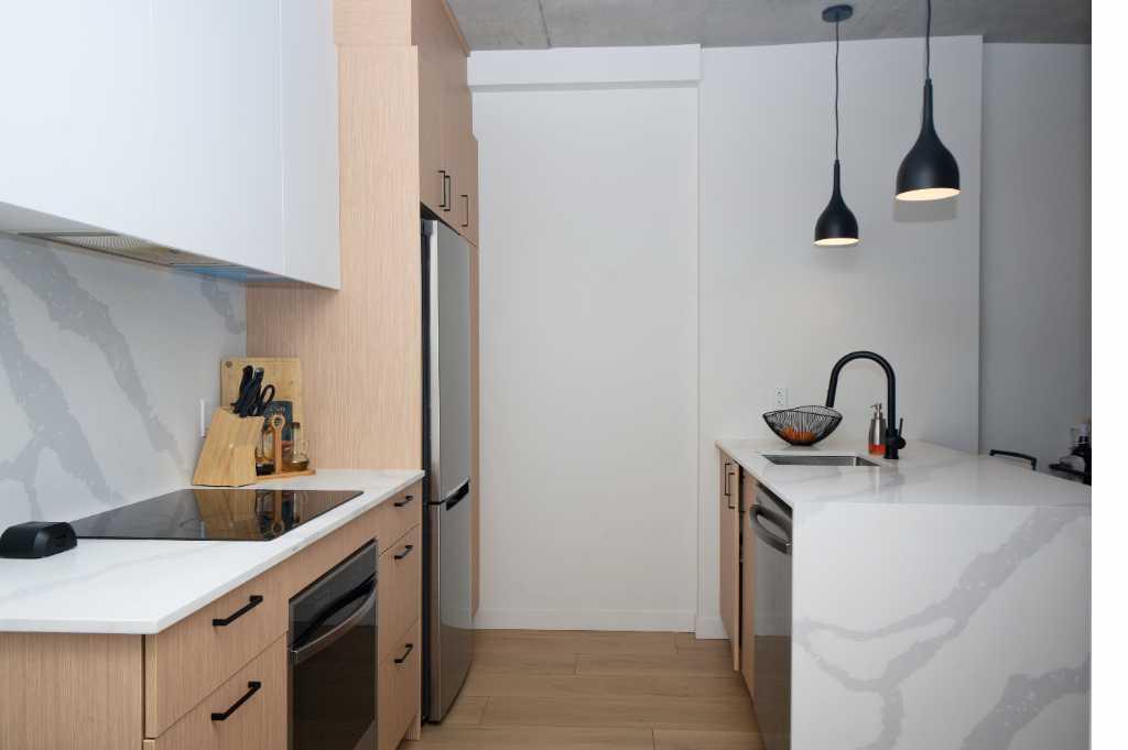 Cession de bail — Plateau 3½ NEUF (2025), 1 700 $ — 3 min métro Papineau | 3304228