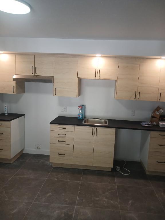 Appartement 4 1/2 à louer à Granby | 3303813