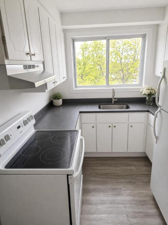 1 CH - 1 SDB - Montréal - $1,300 /mo | 3303252