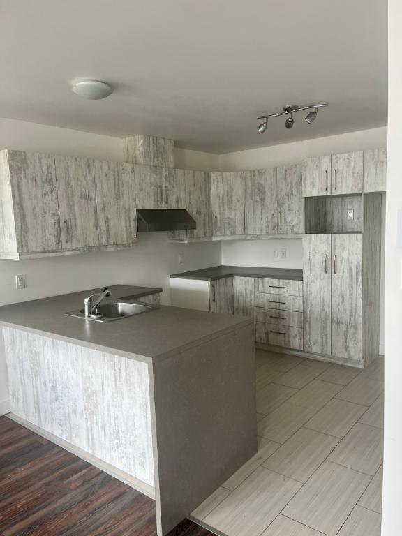 Magnifique 4 1/2 à louer à Lévis avec garage + espace vert | 3300332