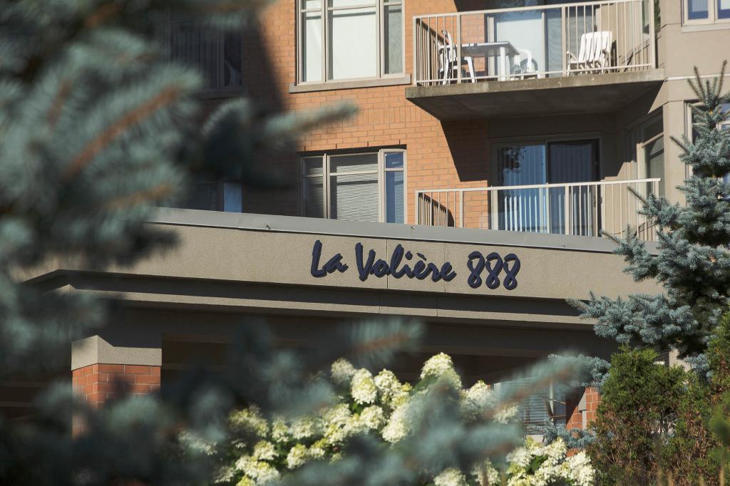 Penthouse de luxe - 4 1/2 - Ste-Foy - immeuble de prestige - septembre ou novembre | 3305331