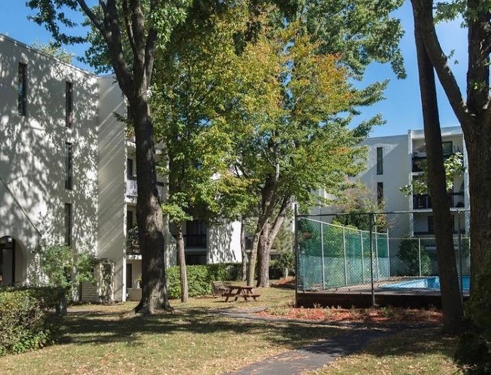 Cession de bail beau 3 1/2 rénové | 3301611