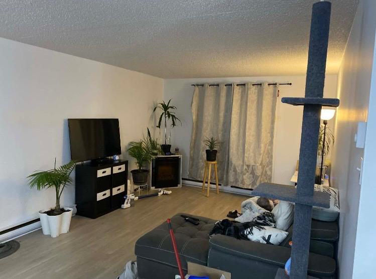 Cession de bail beau 3 1/2 rénové | 3301611