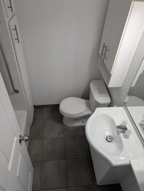 2 CH - 1 SDB - Québec - $1,249 /mo | 3306243