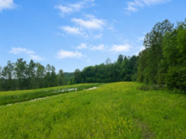 Terrain | 3302373