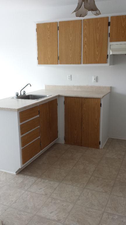 RIVIERE DES PRAIRIES 4 1/2 LIBRE | 3302899