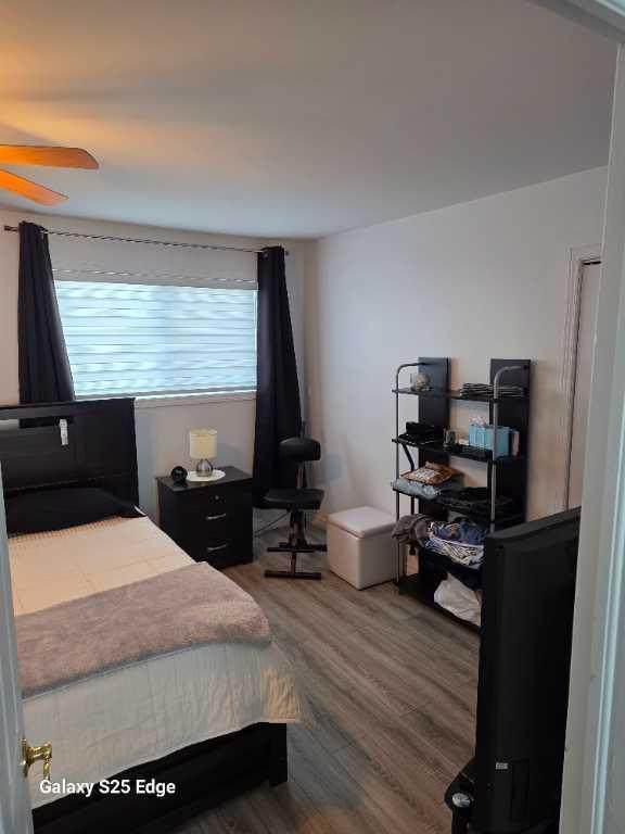 Très grand 4 1/2 à louer | 3302901