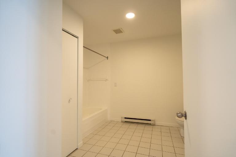 1 CH - 1 SDB - Saint-Charles-Borromée - $916 /mo | 3308994