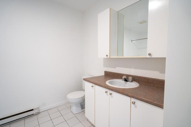 1 CH - 1 SDB - Saint-Charles-Borromée - $916 /mo | 3308994