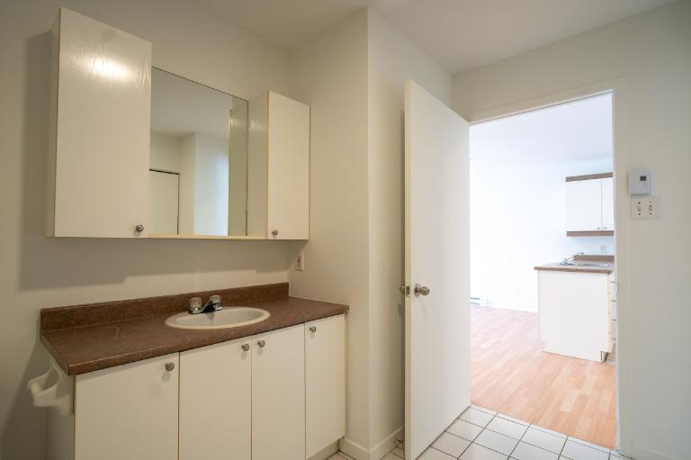 1 CH - 1 SDB - Saint-Charles-Borromée - $916 /mo | 3308995