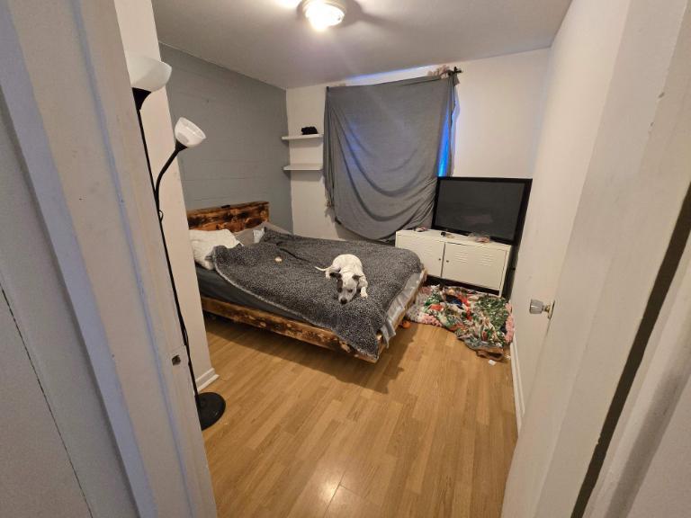 2 CH - 1 SDB - Québec - $1,229 /mo | 3309008